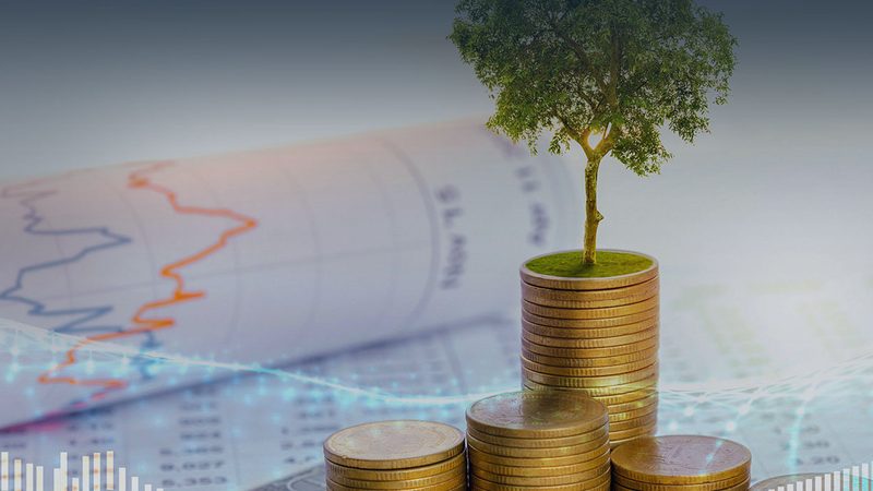 非上市公司股权设计：关键步骤与注意事项**